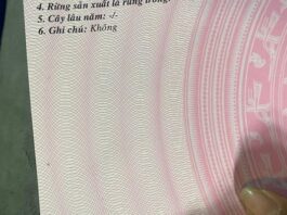 làm sổ đỏ giả, sổ hồng giả