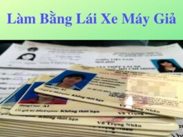 Làm bằng lái xe máy giả